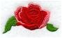 Single Rose